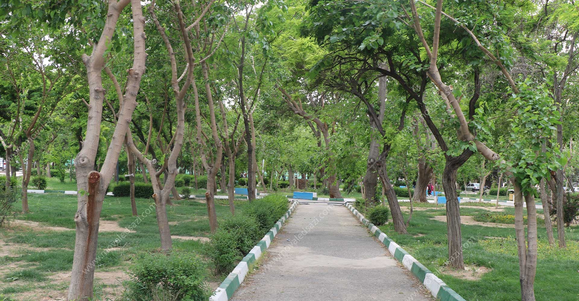 زمین اسلامشهر شناسه 169