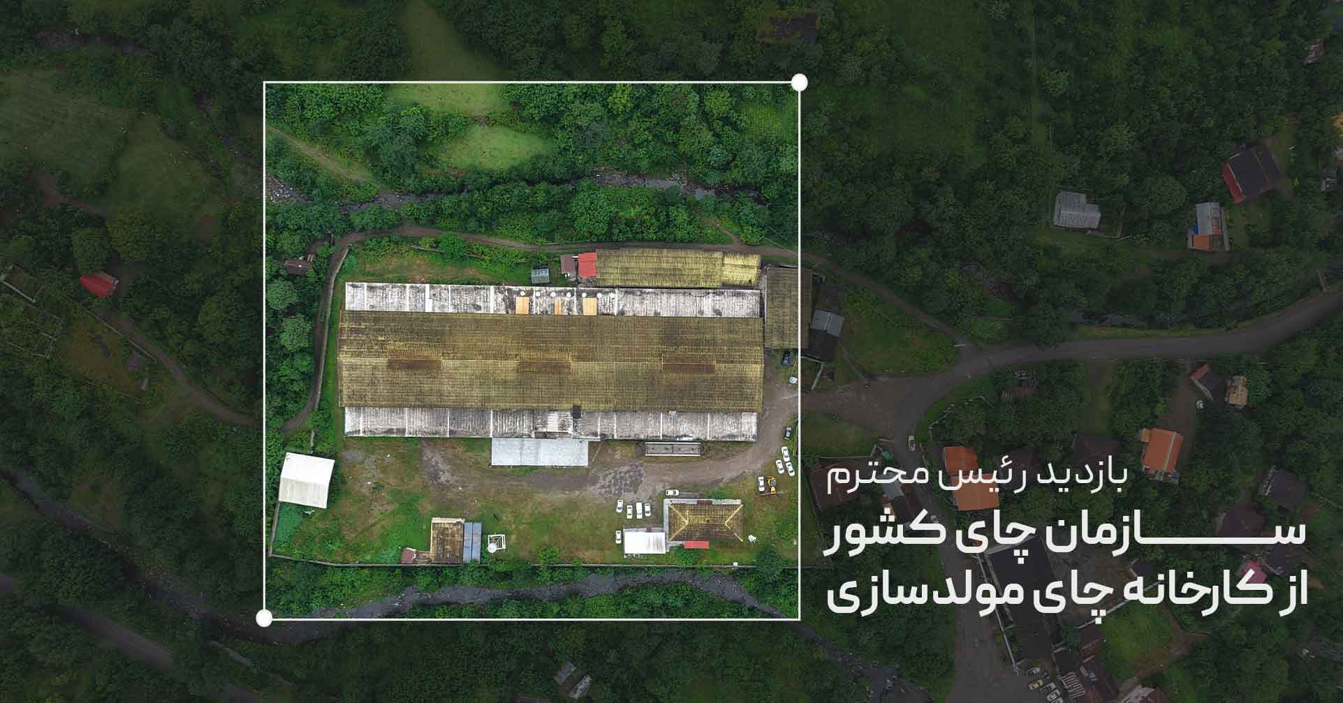 بازدید رئیس سازمان چای کشور از کارخانه چای مولدسازی