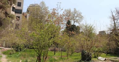 باشگاه الهیه — نمایی از وضع موجود